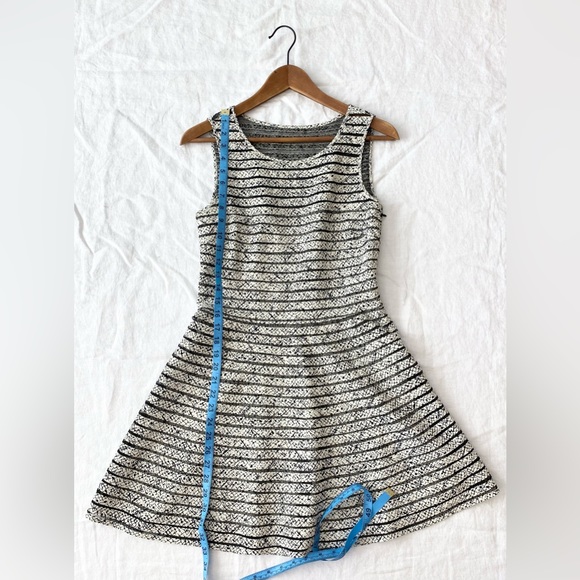 Parker Mesh Ribbed Fit and Flare Silk Lined Mini Dress White Black - Picture 11 of 16